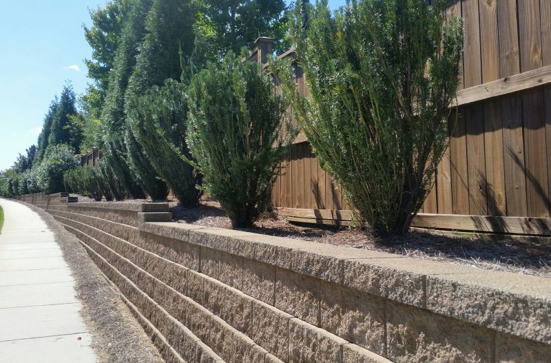 Landscape Wall Construction in Melbourne, FL